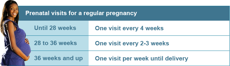Tabla de visitas de embarazo